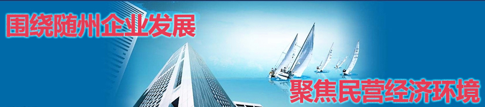 優(yōu)秀民營(yíng)企業(yè)家