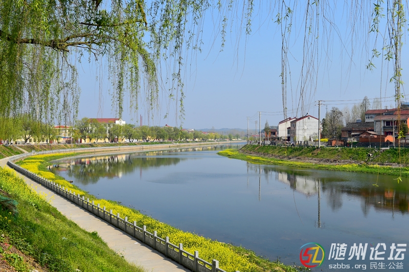 1、《一河兩岸》 林俊.jpg