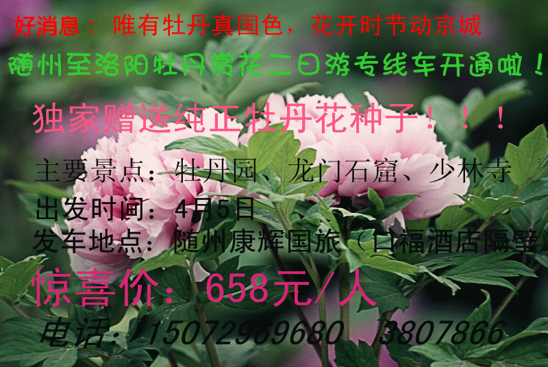 康輝俱樂(lè)部